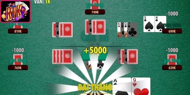 Các bước thực hành cách chơi Catte cho người mới