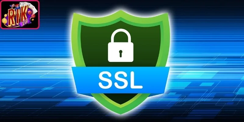 Mã hóa SSL 256-bit